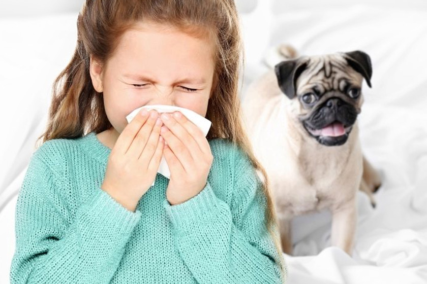 the-childrens-allergy-pets-and-animal-allergys